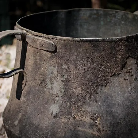 Scialari * Castellammare del Golfo